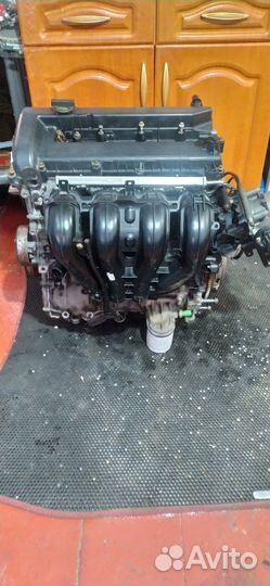 Двигатель Форд Фокус 2