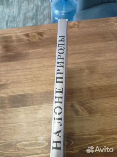 На лоне природы, Борис Георгиев, 1984