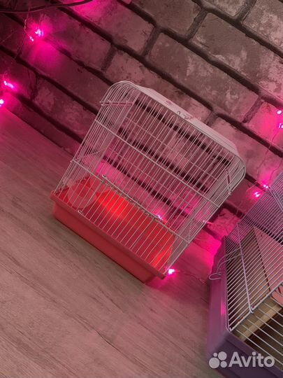 Клетка / переноска для грызунов