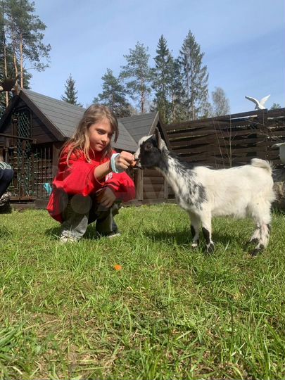 Дом 130 м² на участке 40 сот.