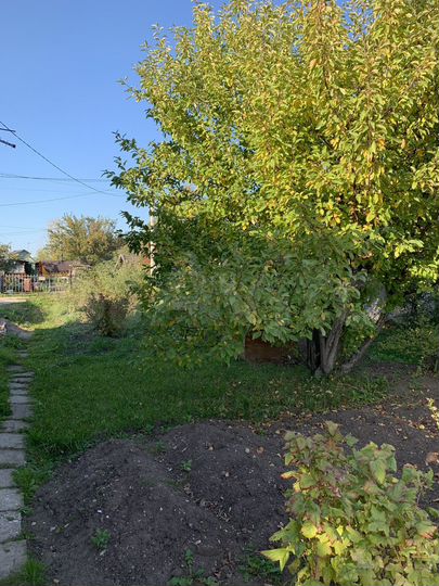 Участок 4,3 сот. (СНТ, ДНП)