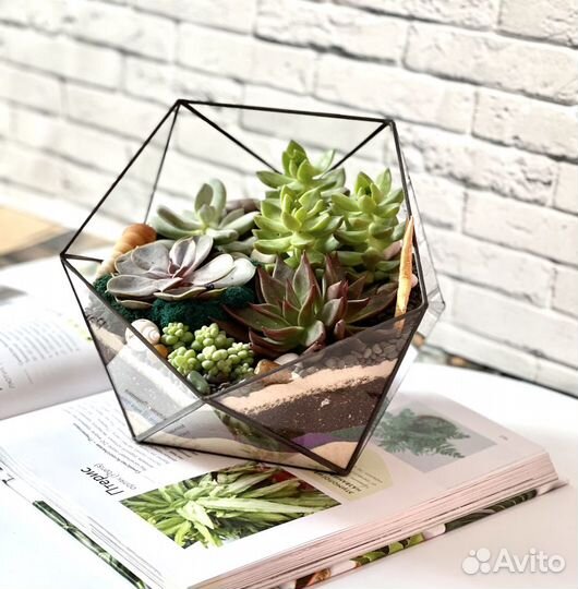 Флорариум «Икосаэдр» с черным покрытием