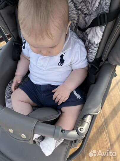 Коляска adamex luciano deluxe 2в 1