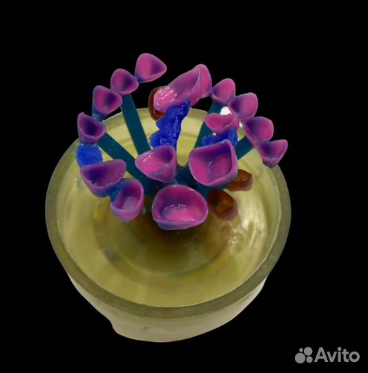 Зуботехническая лаборатория