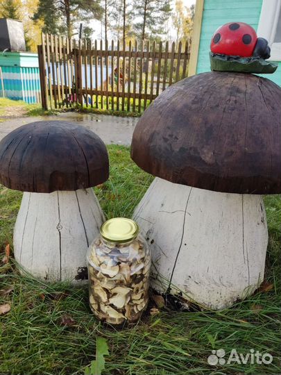 Грибы белые сушеные