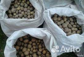 Корма для животных