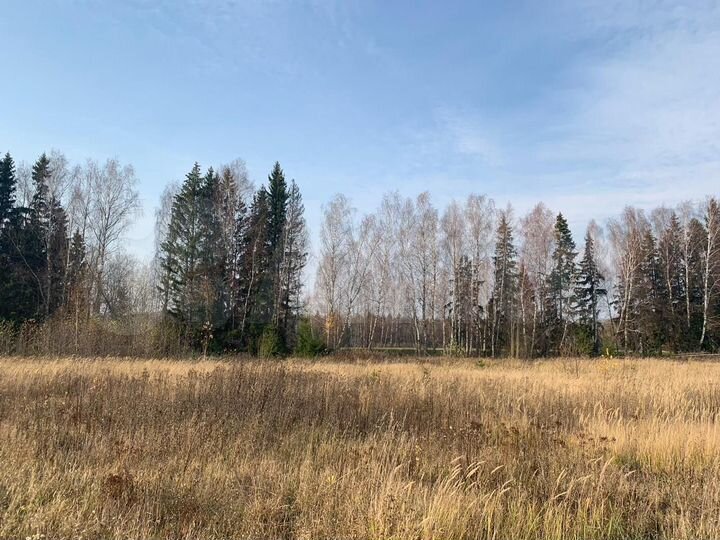 Участок 14,5 сот. (ИЖС)