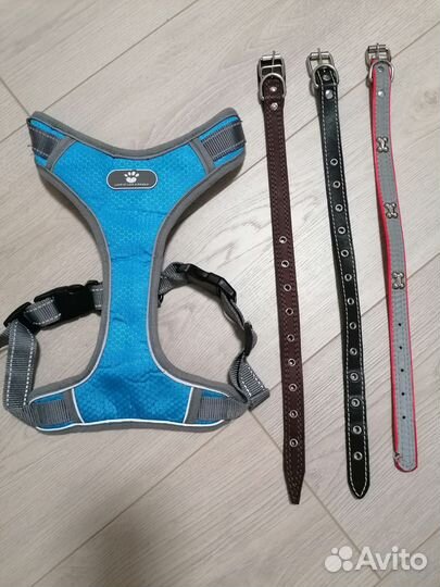 Ошейники для собак