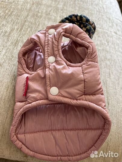 Жилетка для собачек маленьких пород