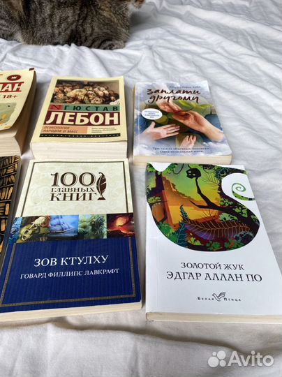 Книги (с аннотацией) ч.1