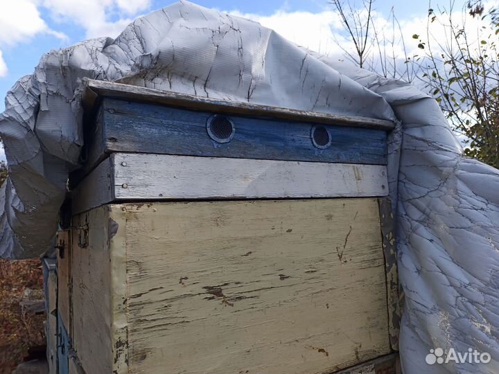 Ульи для пчел