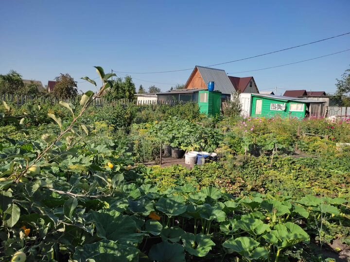 Участок 5 сот. (СНТ, ДНП)