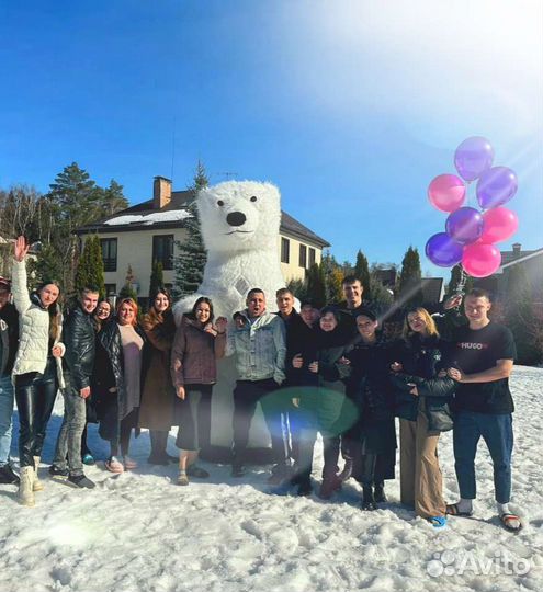 Белый Мишка поздравление, Панда, Медведь