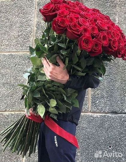 Высокие розы Гигантские розы 110