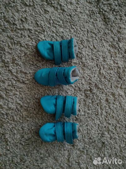 Обувь для маленьких собак