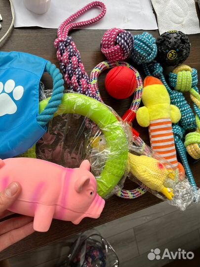 Игрушки для собак, набор 13 в 1, грызунки