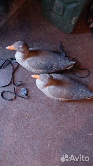 Чучела гусей