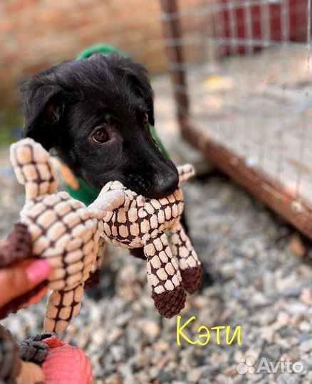 Залюбуйся нами