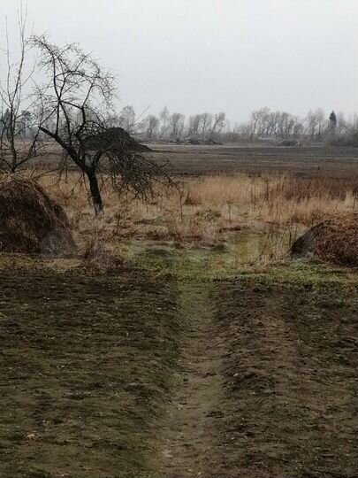 Участок 50 сот. (СНТ, ДНП)