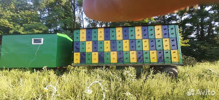 Пчелопавильон