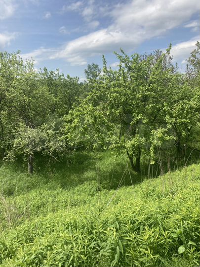 Участок 10 сот. (СНТ, ДНП)