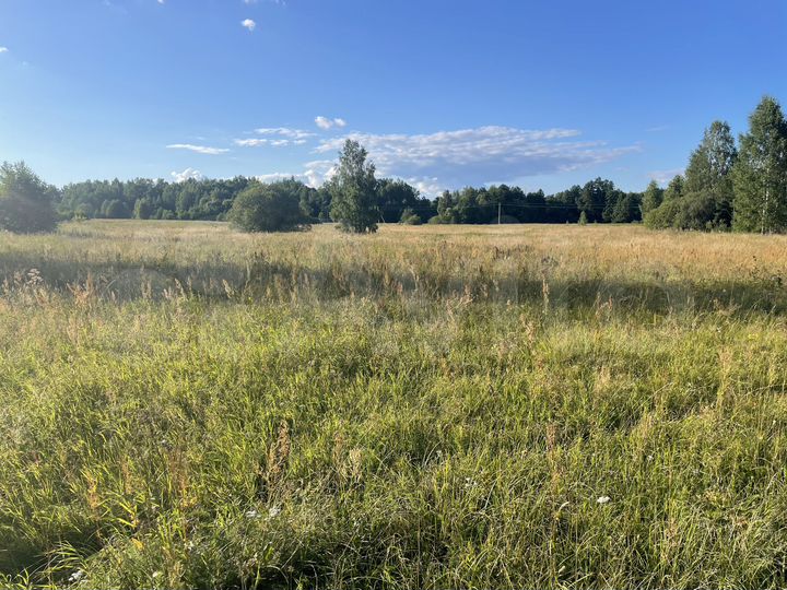 Участок 9,19 га (СНТ, ДНП)