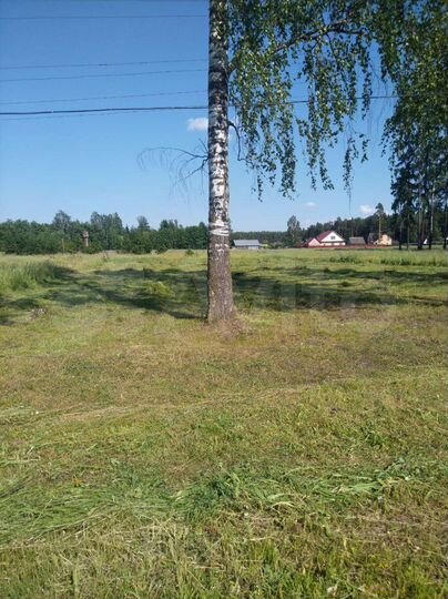 Участок 12 сот. (ИЖС)