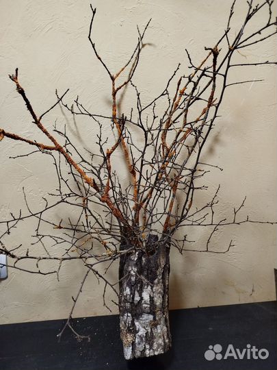 Интерьер лофт