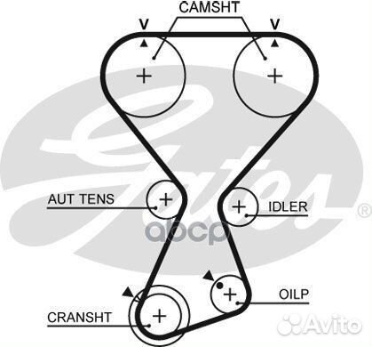 Ремень грм T313 Gates