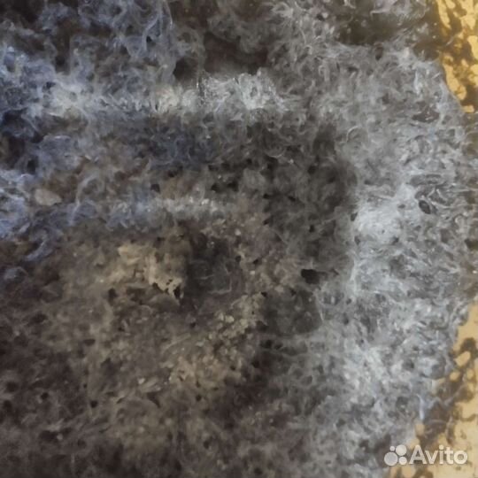 Живой корм, растения, рыбки