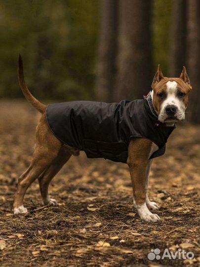 Комбинезон для собак
