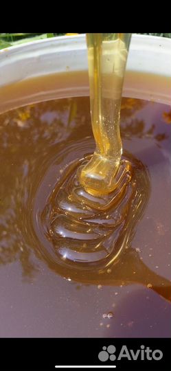 Липовый мед 2024, липа