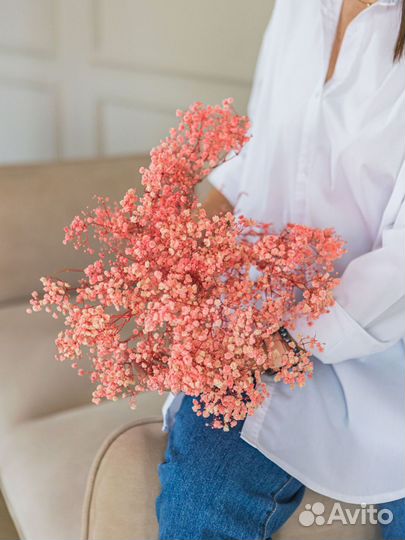 Сухоцвет опт