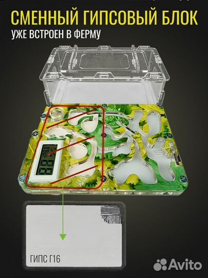 Муравьиная Ферма Стандарт с гигрометром