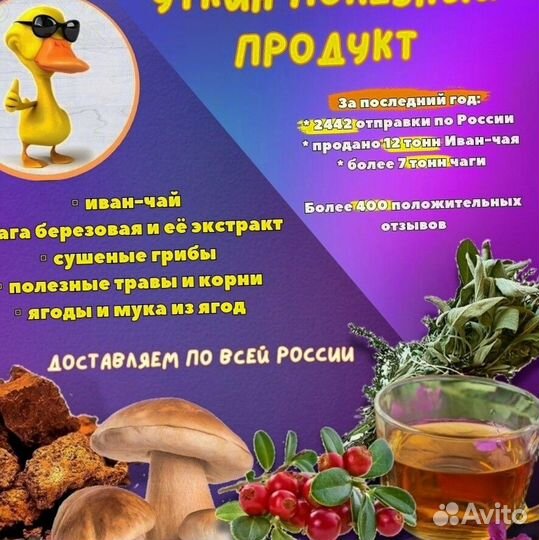 Иван чай опт