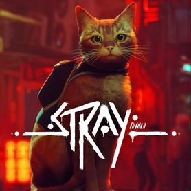 Stray PS4/PS5 RU