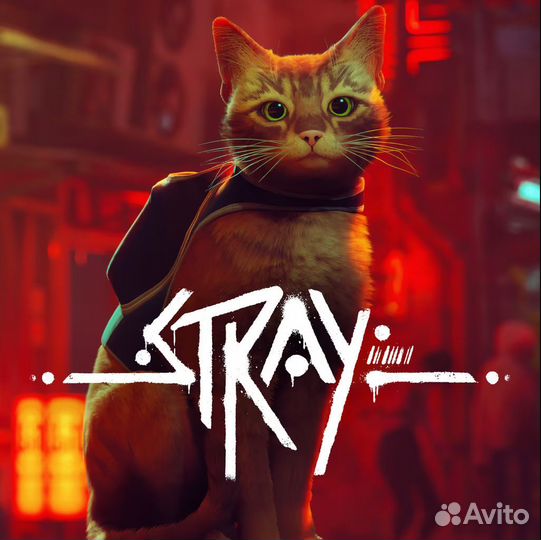 Stray PS4/PS5 RU