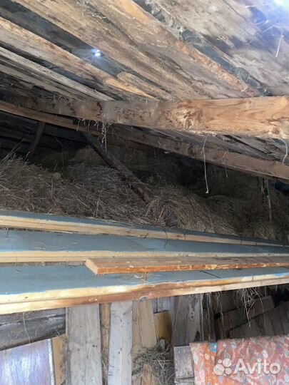 Сено солома