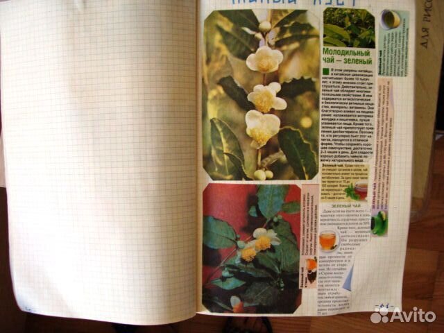 Пособия для чтения