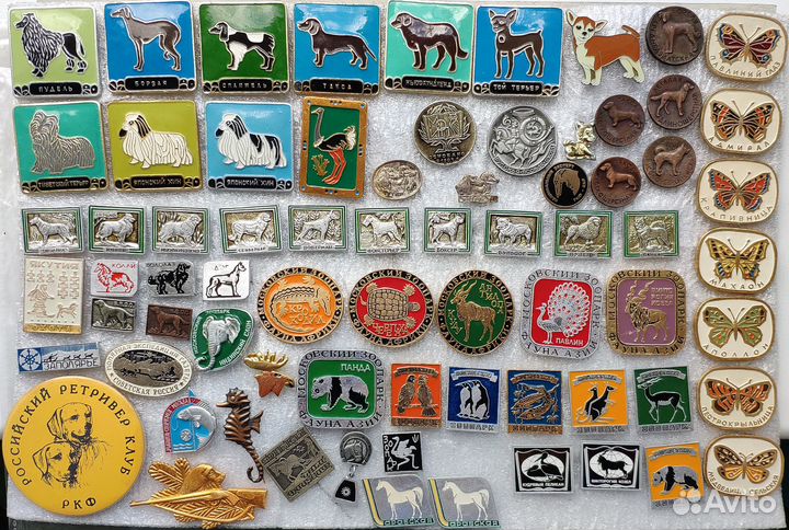 Фауна Зоопарки Животные Звери Птицы