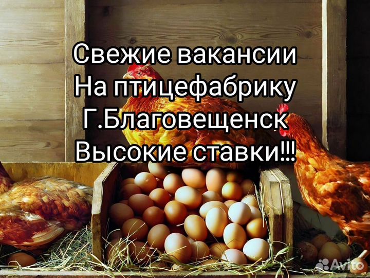 Вахта/Благовещенск/Рабочий на Птицефабрику