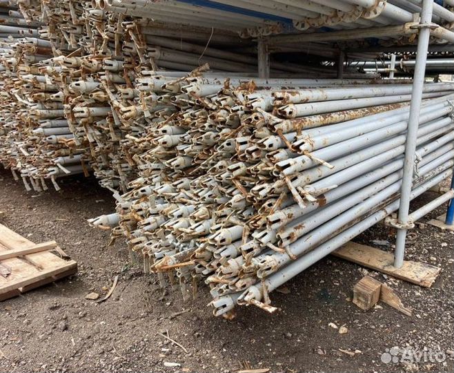 Клиновые леса бу