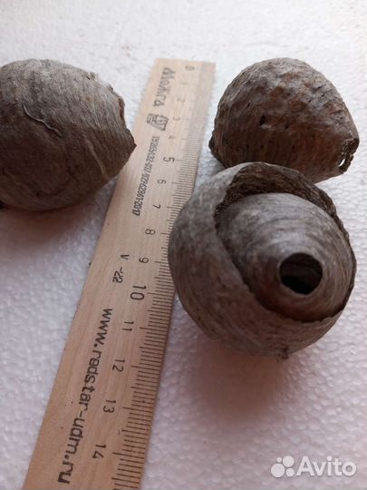 Осиные гнезда 3 шт комплект