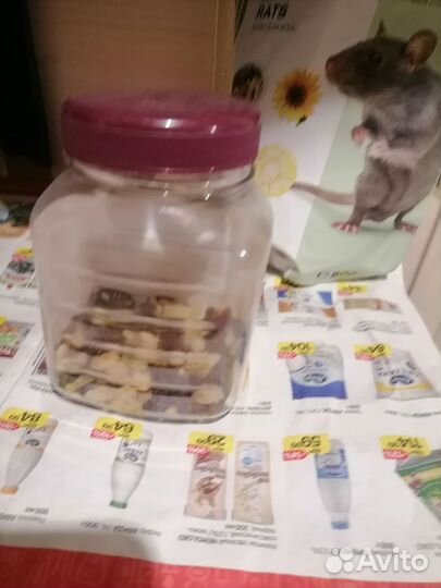 Клетка для крыс