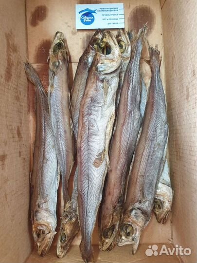 Рыба вяленая, х/к, с/с, с/м печень трески