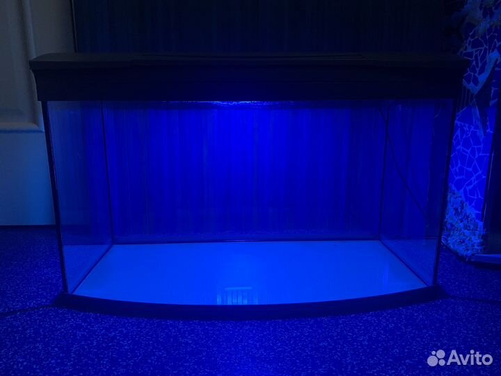Аквариум на 100 литров