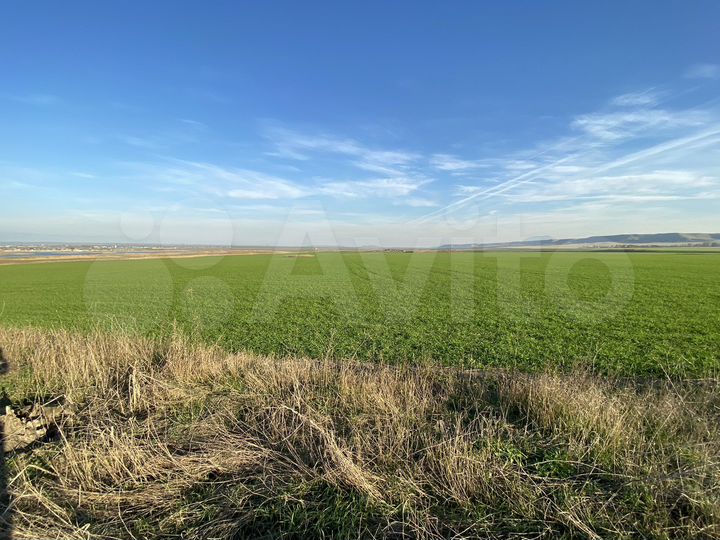 Участок 21 га (СНТ, ДНП)