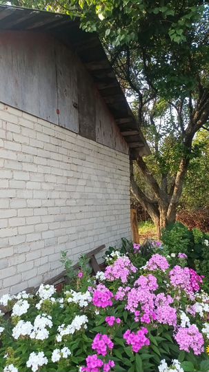 Участок 10 сот. (СНТ, ДНП)