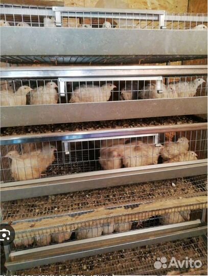 Рабочий на производство с возможностью проживания