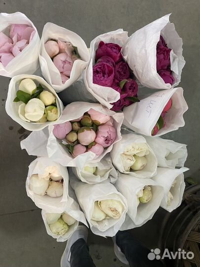 Пионы букет